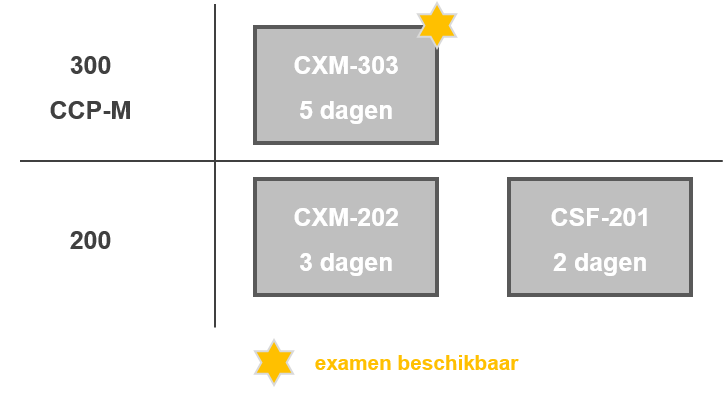 Citrix-trainingen voor mobility