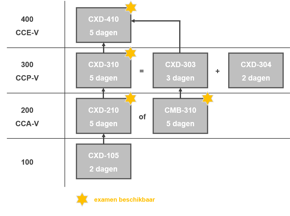 Citrix-trainingen voor virtualisatie